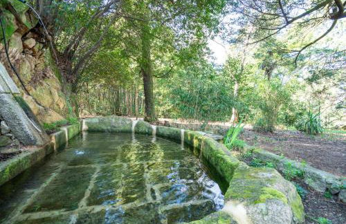 Quinta das Lamas - Antiga Adega - Foto 35