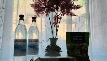 1923 Wohnung by Gerda - Photo 3