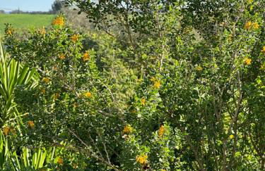 Monte das Hortas Velhas - Foto 45