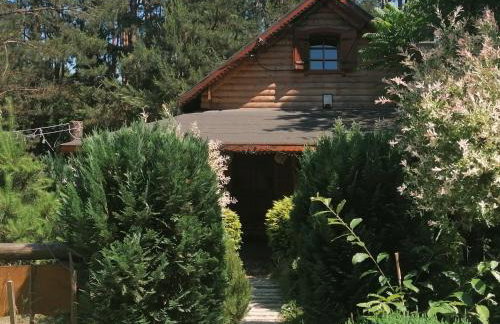 Domek w Ogrodzie Całoroczny 800m od Parku Wodnego Suntago Ranczo Gold Mania - Photo 2