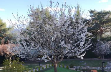 Casa El Cerezo Rojo - Foto 45