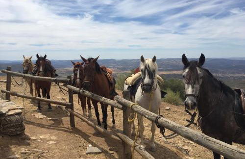 Hotel Rural Finca La Herencia - Foto 47