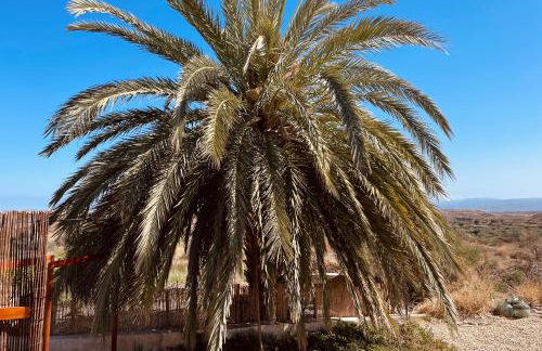 El sueño de Andalucia - Foto 66