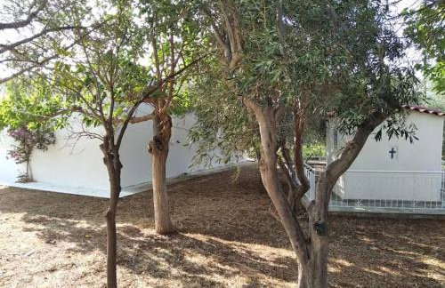 White Villa in Olive trees and Seaview to Panagia - Foto 42