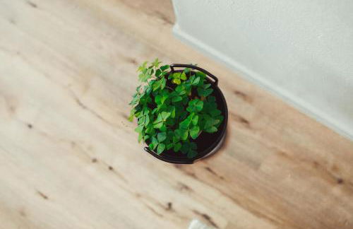 Exklusive Mosel-FeWo in Senheim - große Dachterrasse - Netflix - Waschmaschine - Foto 7
