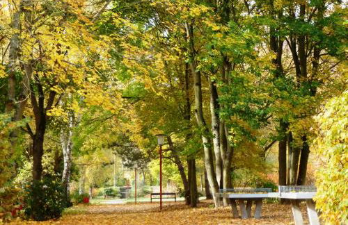 Eifelhaus4you - Foto 56