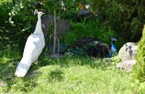 Dwór Barocco - Foto 28