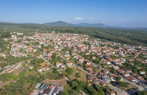 Socrates Terraced House - Foto 16