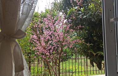 Happy Days Apartment - Foto 6