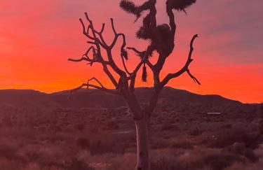 Poppy Ranch Pioneertown - Foto 63