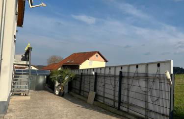 Ferienwohnung Villa Bachfischer - Foto 29