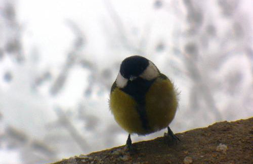 Il mulino che fu la filanda - Foto 24