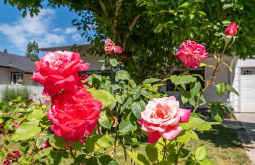 Capital City Comfort - Foto 29