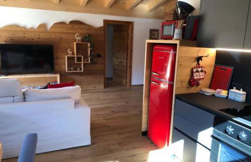 Cèsa Prinoth - Foto 11