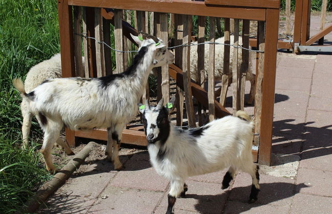 Holiday Home in Nijmegen With Garden Terrace - Foto 14