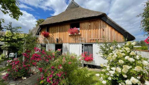 Naturwerk OG - Foto 3