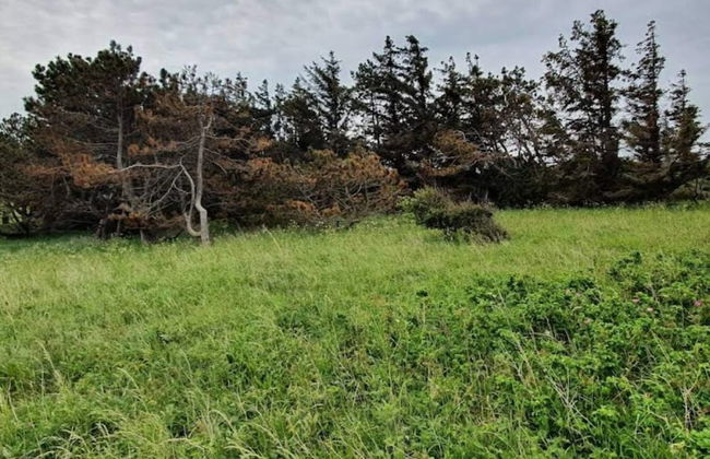 6 Person Holiday Home in Gorlev - Foto 14