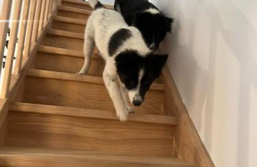 Na Skraju - Pogorzelica - Domki Rekreacyjne lokal D - Foto 21