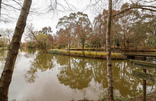 Woodpeckers - Photo 29