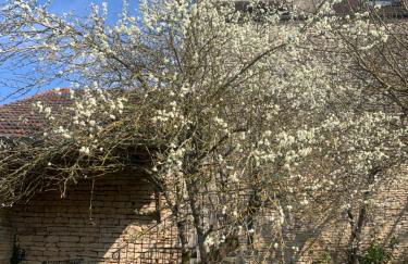 La Victoire de Noyers - Foto 5