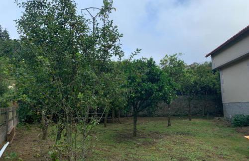 A Debesa do Rei - Foto 24