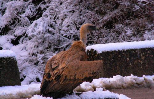 Casa Rural Estarrún - Photo 24
