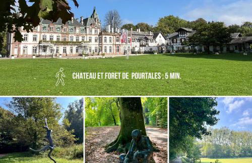 La maison alsacienne Strasbourg - Foto 47