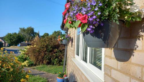 Lime Corner - Foto 5, Garden