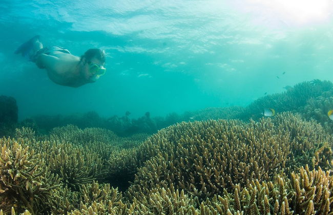 Cabo Beach Villas - Photo 14