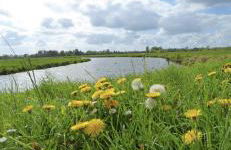 Ferienwohnung Margrit - Foto 16