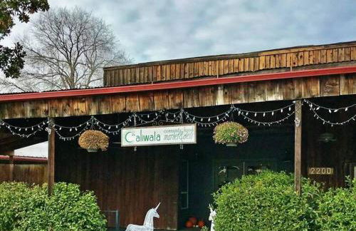 Sommelier's Getaway- 10 mins from SLO & wineries - Foto 25