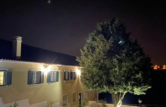 Terra Luso - Foto 15