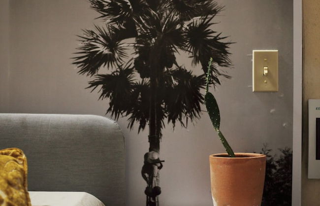 FIXIE LOFTS - Colonial Villa Suites with Pool - Foto 14