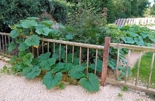 Grain d'orge et cornouiller - Foto 38