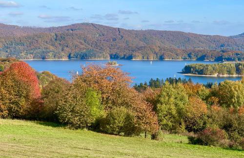 Polańczyk Dom, Apartamenty - Leśny Domek Polańczyk - Photo 40