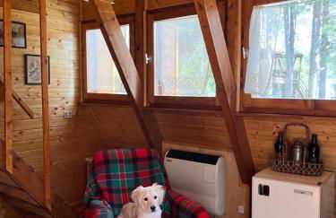 Chalet Natura Sport&Relax - Foto 16