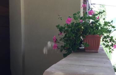 Podere Codone - Foto 8