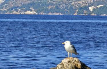 Apartman Štorija - Foto 30