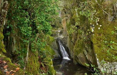 Casa do Terreiro - Foto 13