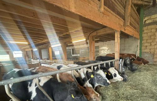 Allgäu Ferienhof Schönberger - Photo 18