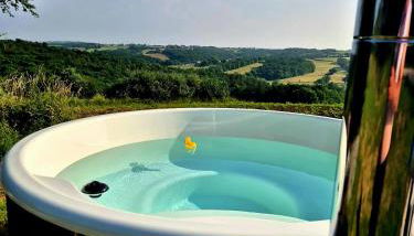 Le Relais de D'Artagnan - Foto 3