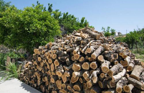 Papa-Antonis Stone House - Foto 24