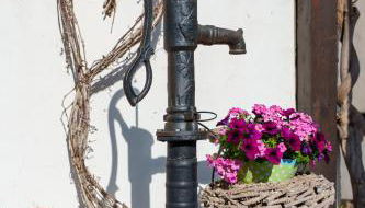 Dinkel Haus an der Mosel - Foto 2, Garden