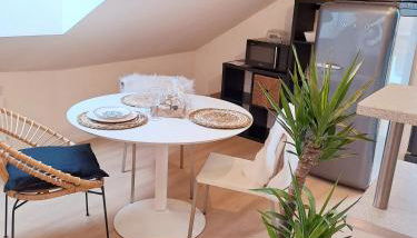 STUDIO TERRASSE - Foto 4