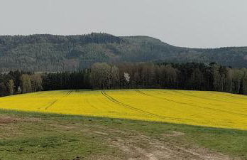 Ferienapartment 21 - Photo 24