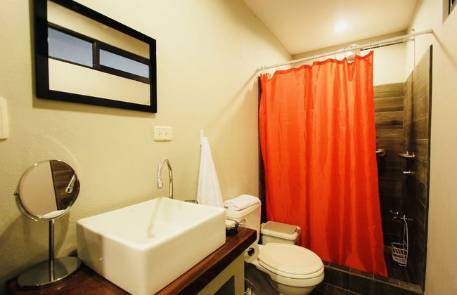 Relaxing Sound of River Birds Squirrels - Foto 29