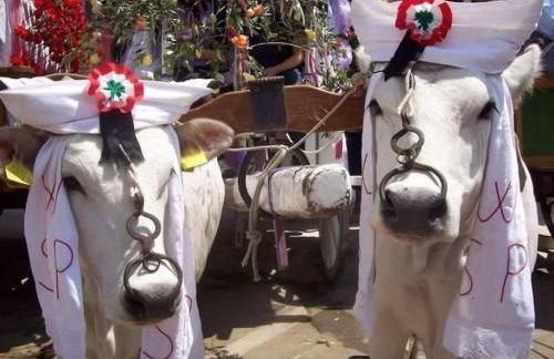 Valerio's Home Historical Center - Foto 52