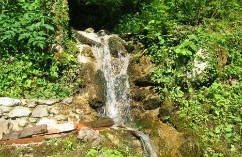 Casa Vacanze IL BOSCACCIO "Casa Serena" - Foto 8