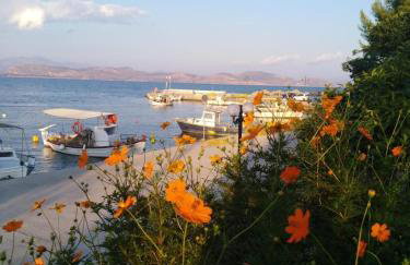 Apartments Jasu - Photo 75