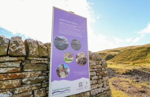 The Museum - Foto 39